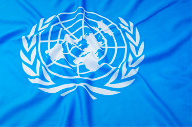 Schweizer Zwischenbericht zur Umsetzung des UNO-Pakts I: Empfehlungen Nr. 9, Nr. 11 und Nr. 41